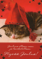 KATZE MIEZEKATZE Tier Vintage Ansichtskarte Postkarte CPSM #PAM570.A - Cats