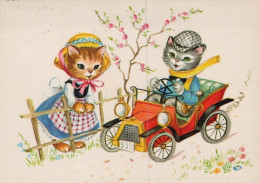 GATO GATITO Animales Vintage Tarjeta Postal CPSM #PAM422.A - Cats