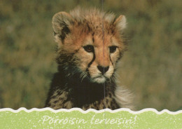 LION GROS CHAT Animaux Vintage Carte Postale CPSM #PAM009.A - Leones