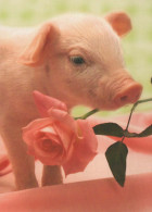 MAIALE Animale Vintage Cartolina CPSM #PBR756.A - Schweine