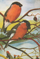 PÁJARO Animales Vintage Tarjeta Postal CPSM #PBR505.A - Pájaros