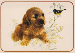 DOG Animals Vintage Postcard CPSM #PBQ423.A - Chiens