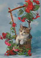KATZE Tier Vintage Ansichtskarte Postkarte CPSM #PBS964.A - Gatos
