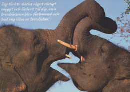 ÉLÉPHANT Animaux Vintage Carte Postale CPSM #PBS743.A - Elefantes