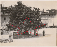 Photo 1901 FRIBOURG - Le Tilleul De La Bataille De Morat, Enfants Dans Une Petite Charrette, Soldats, Gendarmes ? (A255) - Fribourg