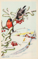 BIRD Vintage Postcard CPSMPF #PKG964.A - Oiseaux