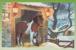 CAVALLO Animale Vintage Cartolina CPA #PKE873.A - Paarden