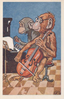 MONKEY Animals Vintage Postcard CPA #PKE766.A - Singes
