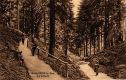 CPA : Allemagne , Hahnenklee Im Harz - Other & Unclassified