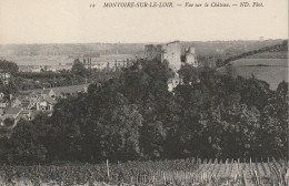 DE 25 -(41) MONTOIRE SUR LE LOIR  -  VUE SUR LE CHATEAU  -  2 SCANS - Montoire-sur-le-Loir