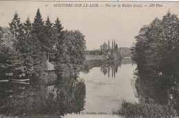 DE 25 -(41) MONTOIRE SUR LE LOIR  -  VUE SUR  LA RIVIERE ( AVAL ) -  2 SCANS - Montoire-sur-le-Loir