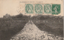 DE 26 -(41) SAINT LEONARD EN BEAUCE  -  VUE GENERALE  - VIGNES  -  2 SCANS - Autres & Non Classés