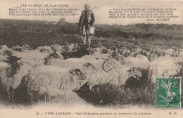 DE 23 -(40) TYPE LANDAIS - " LES PATRES DE GASCOGNE "  - VIEIL  ECHASSIER GARDANT UN TROUPEAU DE MOUTONS - 2 SCANS - Allevamenti