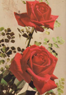FLOWERS Vintage Postcard CPSM #PAS147.GB - Flowers
