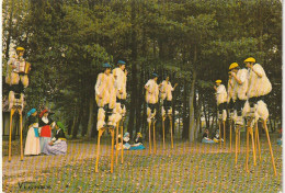 DE 23 -(40) "  VISAGE DES LANDES  " -  GROUPE BASCO LANDAIS DE CAPBRETON - ECHASSIERS   - CARTE COULEURS  - 2 SCANS - Tänze