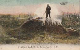 DE 22 -(40) AU PAYS LANDAIS -  UNE CHARBONNIERE EN FEU  -  CARTE COLORISEE  - 2 SCANS - Cultivation