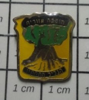 3517 Pin's Pins / Beau Et Rare / AUTRES / ARBRE VERT ET TEXTE EN HEBREU ? - Sonstige & Ohne Zuordnung