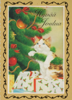 GATO GATITO Animales Vintage Tarjeta Postal CPSM #PAM481.ES - Gatos