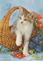 GATO GATITO Animales Vintage Tarjeta Postal CPSM #PAM106.ES - Cats