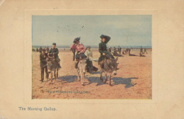 DONKEY Animals Vintage Antique Old CPA Postcard #PAA050.GB - Donkeys