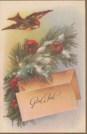 BIRD Vintage Postcard CPSMPF #PKG969.GB - Birds