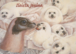 SEAL Animals Vintage Postcard CPSM #PBS645.GB - Otros & Sin Clasificación