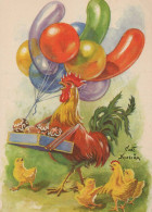 BIRD Animals Vintage Postcard CPSM #PBR608.GB - Birds