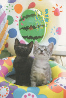 CAT KITTY Animals Vintage Postcard CPSM #PBQ768.GB - Cats