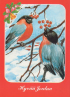 OISEAU Animaux Vintage Carte Postale CPSM #PAM922.FR - Birds