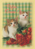 CHAT CHAT Animaux Vintage Carte Postale CPSM #PAM291.FR - Chats