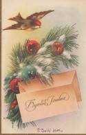 PÁJARO Vintage Tarjeta Postal CPSMPF #PKG970.ES - Pájaros