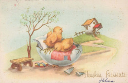 PASCUA POLLO HUEVO Vintage Tarjeta Postal CPA #PKE421.ES - Pasqua