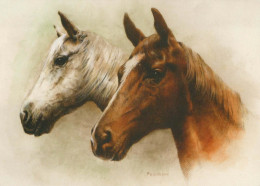 CABALLO Animales Vintage Tarjeta Postal CPSM #PBR867.ES - Horses