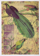 PÁJARO Animales Vintage Tarjeta Postal CPSM #PBR545.ES - Uccelli