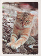 GATO GATITO Animales Vintage Tarjeta Postal CPSM #PBQ954.ES - Chats