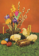 PASCUA POLLO HUEVO Vintage Tarjeta Postal CPSM #PBO599.ES - Ostern