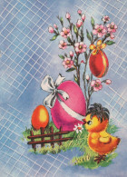 PASCUA POLLO HUEVO Vintage Tarjeta Postal CPSM #PBP224.ES - Easter