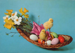 PASCUA POLLO HUEVO Vintage Tarjeta Postal CPSM #PBO911.ES - Easter