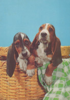 HUND Tier Vintage Ansichtskarte Postkarte CPSM #PAN744.DE - Dogs