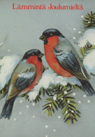 VOGEL Tier Vintage Ansichtskarte Postkarte CPSM #PAM923.DE - Pájaros