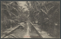 Carte P De 1911 ( Ceylon / The Negombo Canal ) - Sri Lanka (Ceylon)