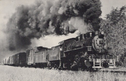 ZUG Schienenverkehr Eisenbahnen Vintage Ansichtskarte Postkarte CPSMF #PAA470.DE - Trains