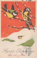 PÂQUES OISEAU Vintage Carte Postale CPA #PKE297.FR - Ostern