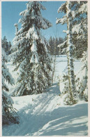 Bonne Année Noël Vintage Carte Postale CPSMPF #PKG215.FR - Nouvel An