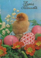 PÂQUES POULET ŒUF Vintage Carte Postale CPSM #PBP103.FR - Easter