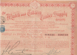 THE MATCH And TABACCO TIMBER SUPPLY COMPAGNY . LISBOA  TITULO DE CINC ACCAOES VALOR NOMINAL £ 20 . RESTE 45 COUPONS - Other & Unclassified