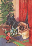 CANE Animale Vintage Cartolina CPSM #PAN745.IT - Dogs