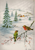 UCCELLO Animale Vintage Cartolina CPSM #PAM924.IT - Vögel