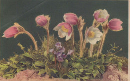 FLOWERS Vintage Ansichtskarte Postkarte CPA #PKE612.DE - Flowers