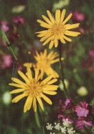 FLOWERS Vintage Ansichtskarte Postkarte CPSM #PBZ921.DE - Bloemen